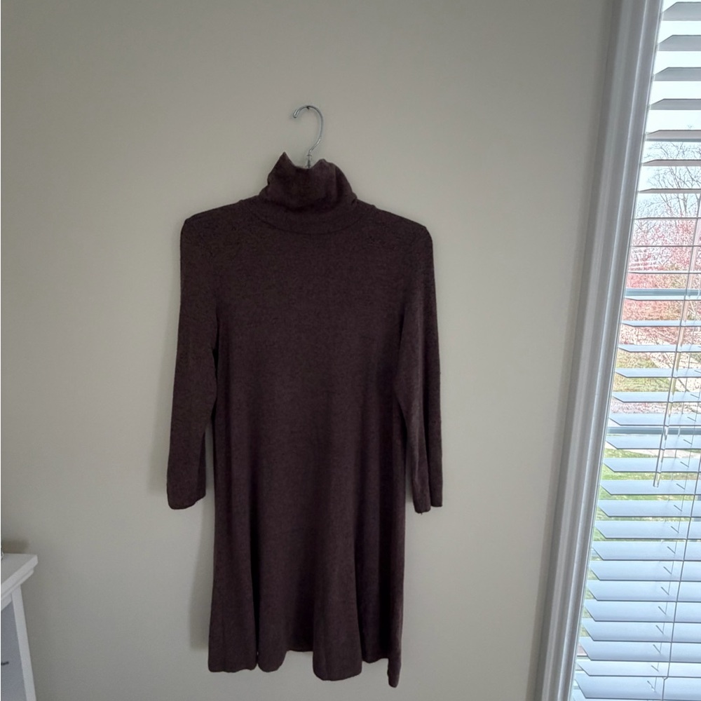 American Eagle Outfitters Brown Turtleneck Sweater Dress